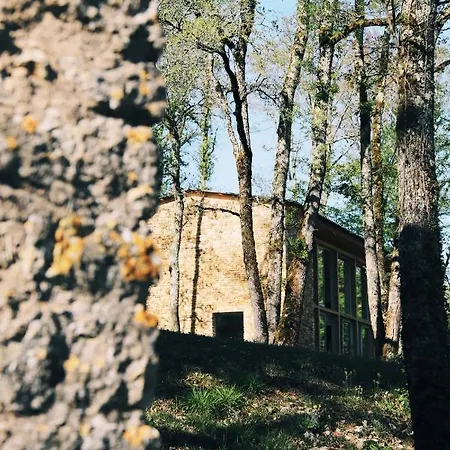 Maison D'hote Les Grands Chenes
