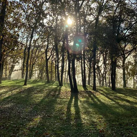 Maison D'hote Les Grands Chenes Konukevi Valojoulx