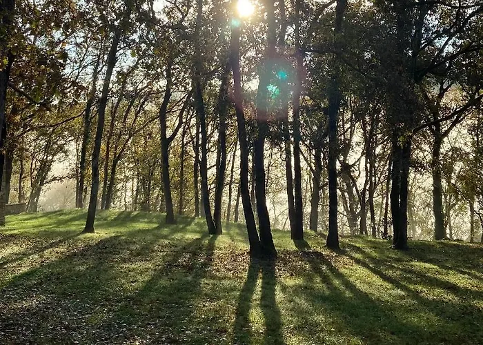 Maison D'hote Les Grands Chenes Gasthuis Valojoulx