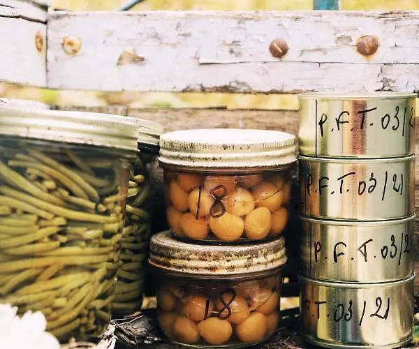 Maison D'hote Les Grands Chenes Valojoulx